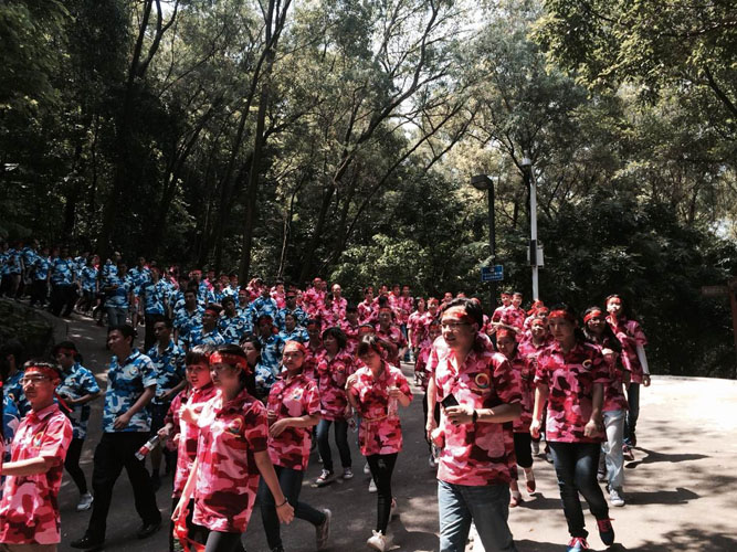 東莞插頭廠家無雙電子